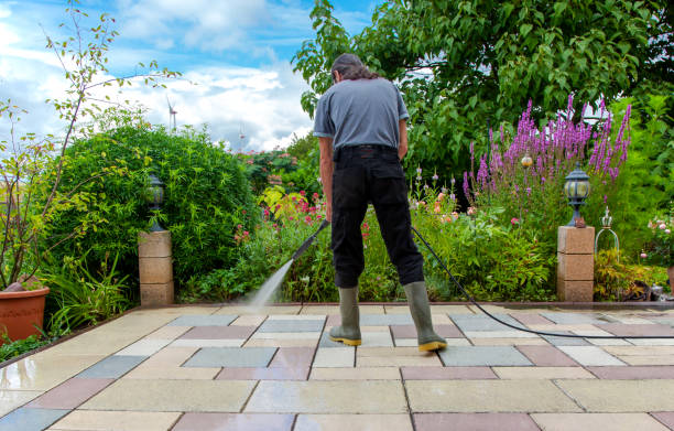 Pre-Holiday Cleaning in Twin Lakes, CA